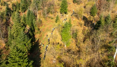 Easy as one, two, tree: Zasađeno 10.000 novih stabala 